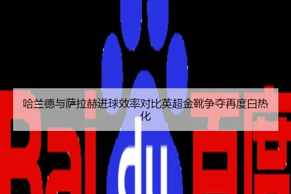 哈兰德与萨拉赫进球效率对比英超金靴争夺再度白热化