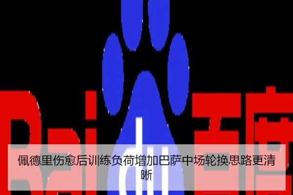 佩德里伤愈后训练负荷增加巴萨中场轮换思路更清晰